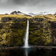 Боярышник для сердца и сосудов чем полезен как заваривать Боярышник для сердца и сосудов чем полезен как заваривать