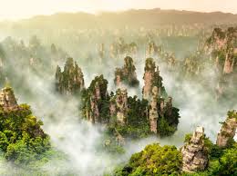 Донник лечебные свойства, противопоказания, применение, народные рецепты