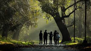 Как сделать зубную пасту в домашних условиях своими руками Как сделать зубную пасту в домашних условиях своими руками