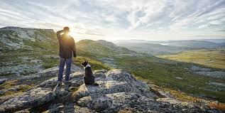 Как восставить зубную эмаль в домашних условиях — здоровье и долголетие Как восставить зубную эмаль в домашних условиях — здоровье и долголетие