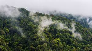 Камень топаз свойства и значение кому подходит фото Камень топаз свойства и значение кому подходит фото