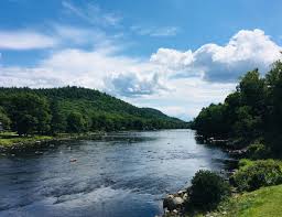 Применение тысячелистника в гинекологии — здоровье и долголетие Применение тысячелистника в гинекологии — здоровье и долголетие