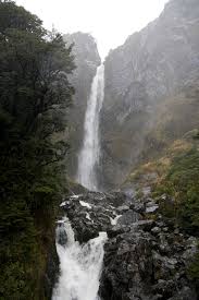 Тигровый бальзам состав отчего помогает инструкция по применению Тигровый бальзам состав отчего помогает инструкция по применению