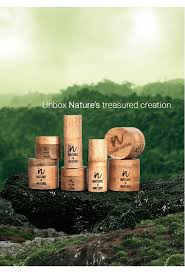 Чай с фенхелем полезные свойства, противопоказания, как заваривать Чай с фенхелем полезные свойства, противопоказания, как заваривать