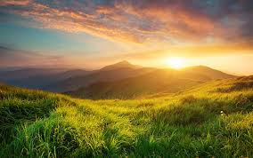 Черная редька с медом от кашля рецепт Черная редька с медом от кашля рецепт