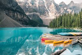 Чистяк весенний лечебные свойства применение в народной медицине Чистяк весенний лечебные свойства применение в народной медицине