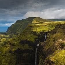 Чистяк весенний лечебные свойства применение в народной медицине Чистяк весенний лечебные свойства применение в народной медицине