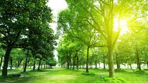 Экзема мошонки от чего бывает как лечить в домашних условиях Экзема мошонки от чего бывает как лечить в домашних условиях