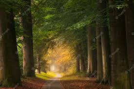 Глицерин, свойства, где применяется, как принимать внутрь Глицерин, свойства, где применяется, как принимать внутрь