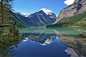 Индийский морской рис полезные свойства как вырастить и пить противопоказания Индийский морской рис полезные свойства как вырастить и пить противопоказания