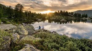 Капсулы моринга полезные свойства и применение