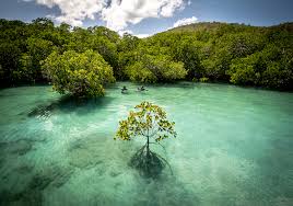 Керосин для лечения суставов способы применения рецепты