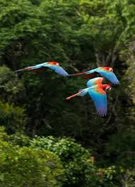 Летняя простуда причины симптомы чем лечить Летняя простуда причины симптомы чем лечить