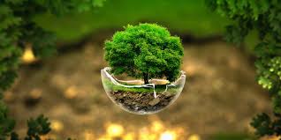 Ополаскиватель для рта с эфирными маслами своими руками Ополаскиватель для рта с эфирными маслами своими руками