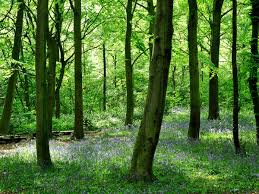 Почему отекают руки по утрам после сна и что делать Почему отекают руки по утрам после сна и что делать