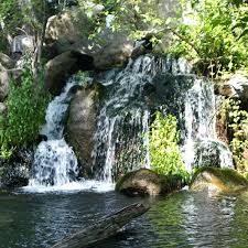 Заикание у детей симптомы причины и лечение Заикание у детей симптомы причины и лечение