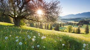 Жирорастворимые витамины характеристика и функции — здоровье и долголетие Жирорастворимые витамины характеристика и функции — здоровье и долголетие